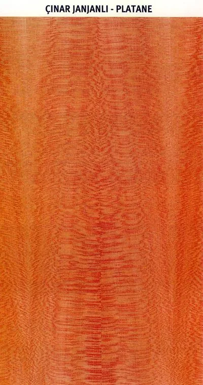 ÇINAR JANJANLI – PLATANE