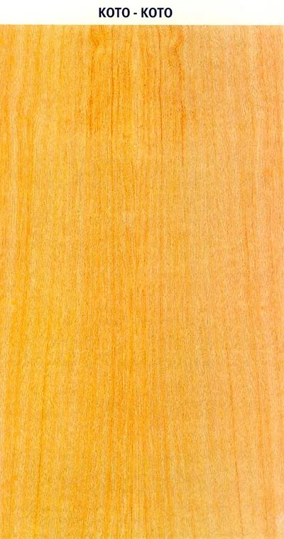 KOTO – KOTO