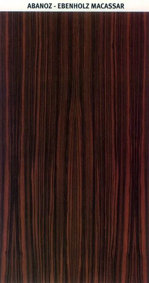 ABANOZ – EBENHOLZ MACASSAR