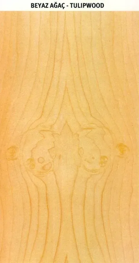 BEYAZ AĞAÇ – TUUPWOOD